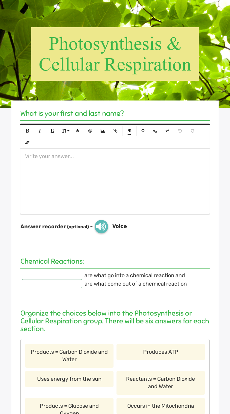 Photosynthesis & Cellular Respiration | Interactive Worksheet By Kari ...