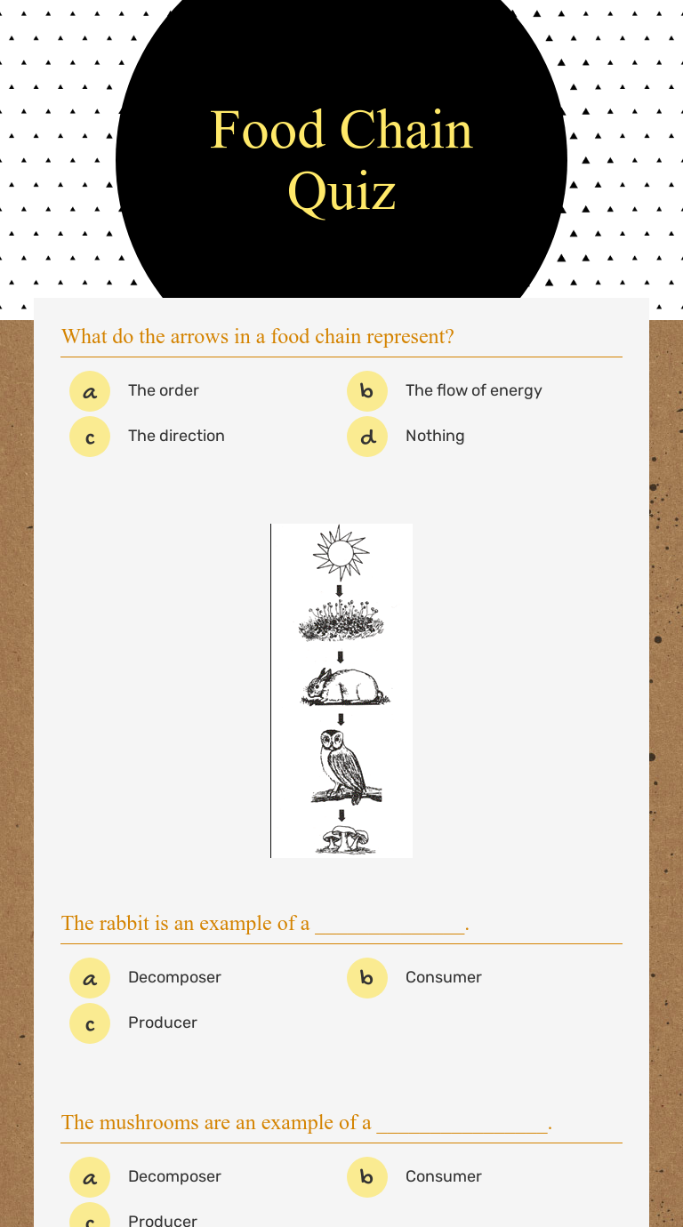 food chain critical thinking questions