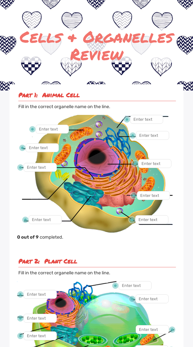 Cells And Organelles Worksheet