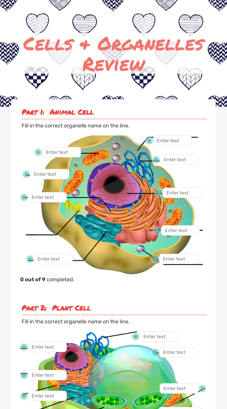 Cells & Organelles Review | Interactive Worksheet by Kristina Mueller