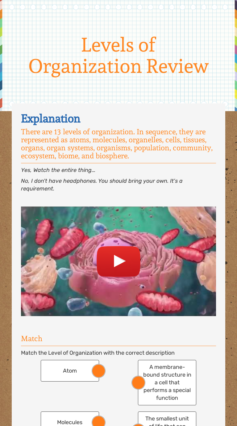 Level Of Organization Worksheet Onlineworksheet.my.id