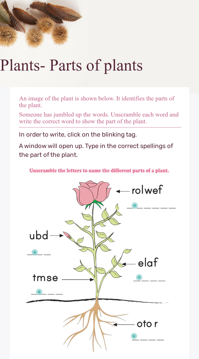 Plants- Parts of plants worksheet preview image