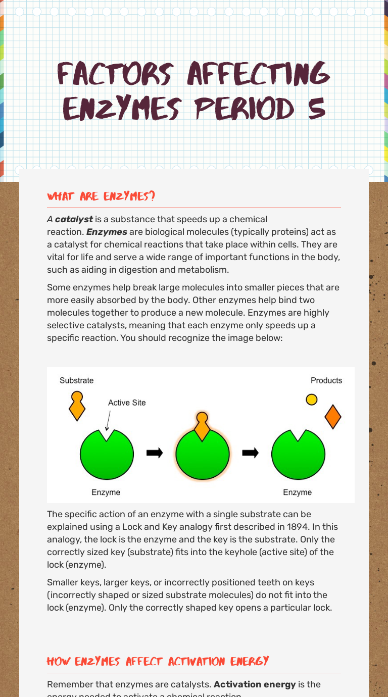 Enzyme Reactions Worksheet Answer Key