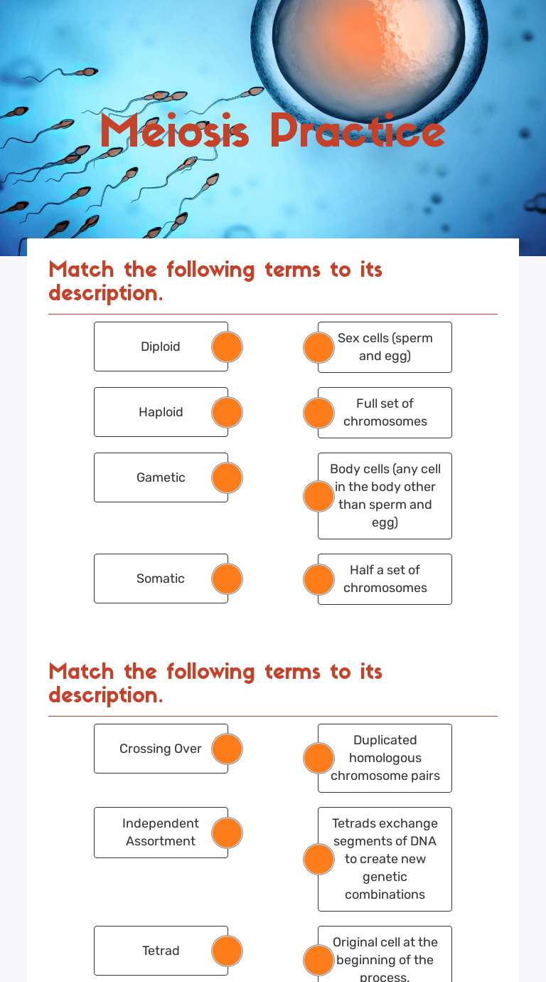 meiosis-practice-interactive-worksheet-by-john-polanco-wizer-me