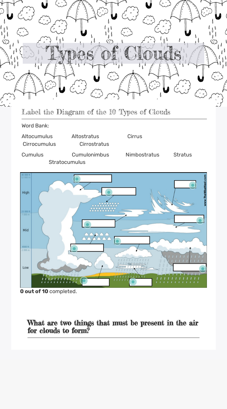 Types of Clouds | Interactive Worksheet by Regina Jones | Wizer.me