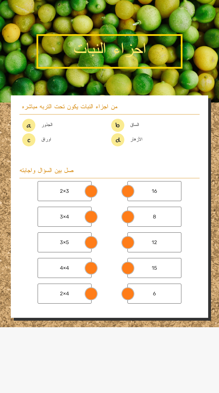 احزاء النبات worksheet preview image
