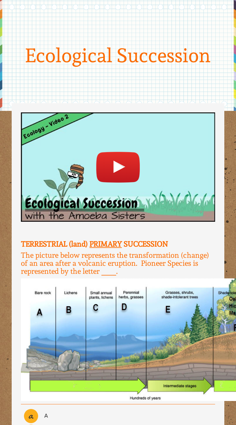 Ecological Succession Interactive Activity Answer Key Quizlet