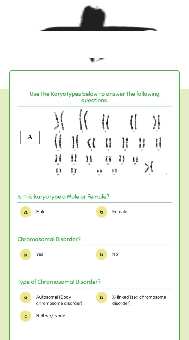 Karyotype Practice Interactive Worksheet by Brittany Miller Wizer.me