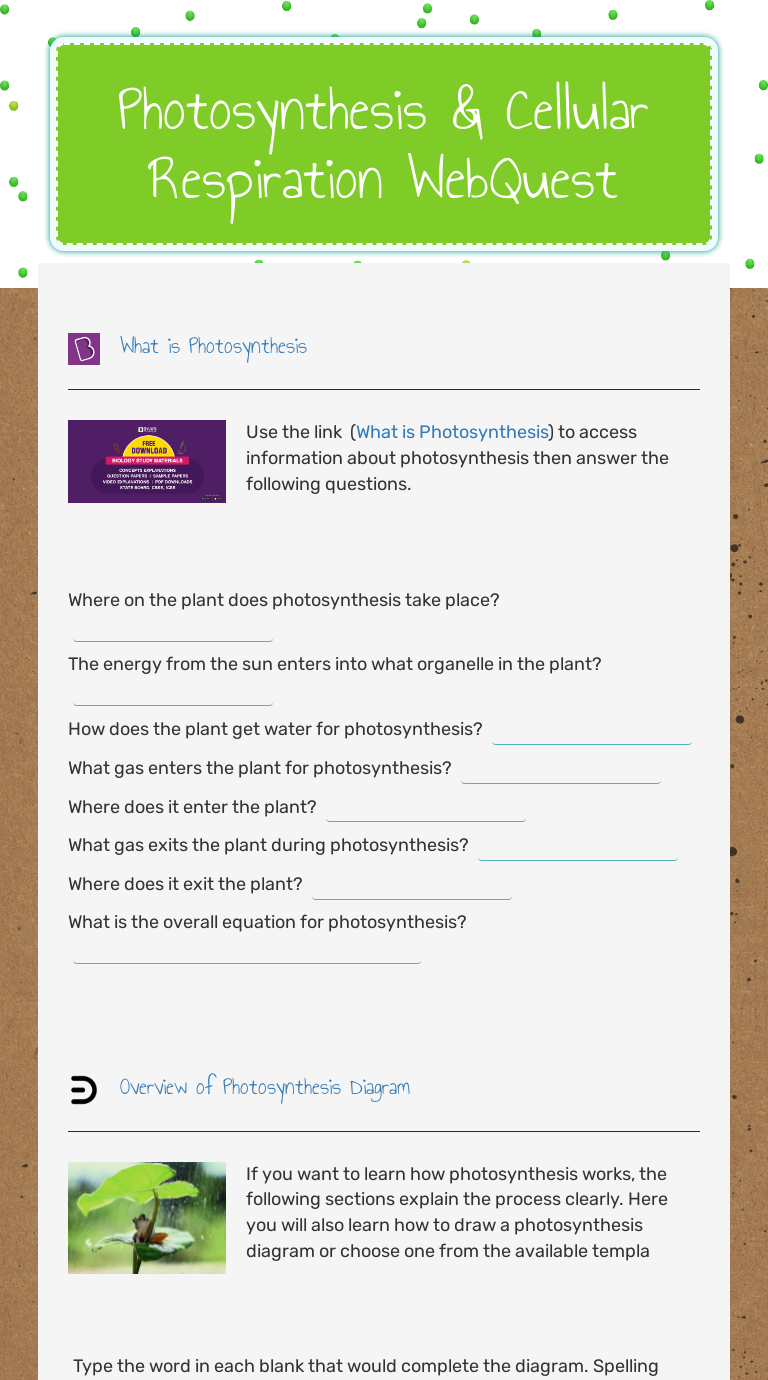 Photosynthesis & Cellular Respiration WebQuest | Interactive Worksheet ...