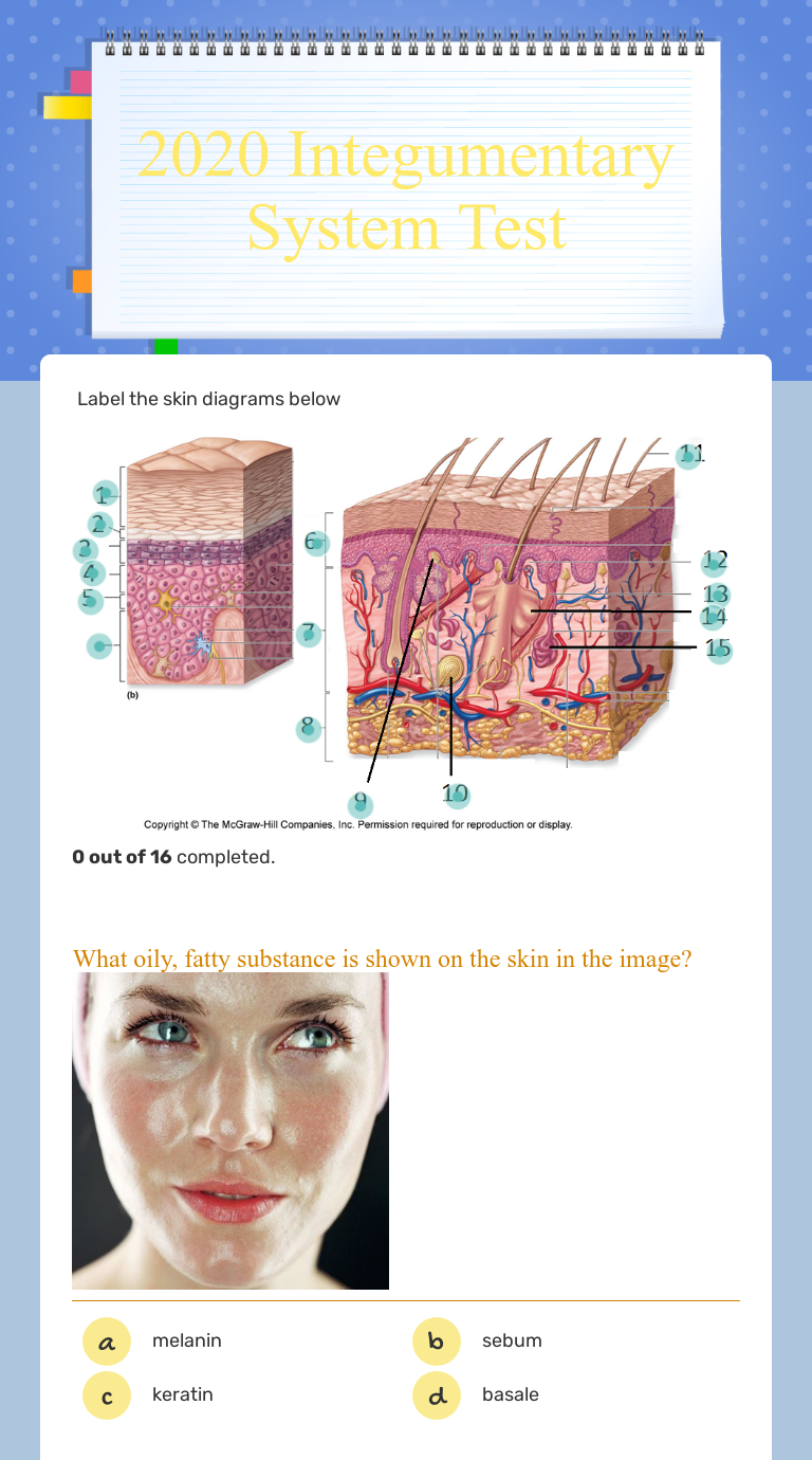 35 Label The Skin Diagram - Labels Design Ideas 2020