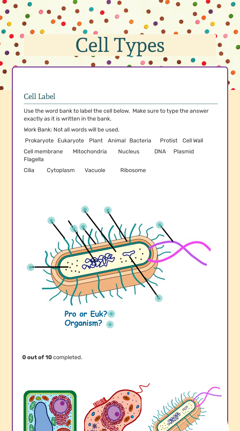 types of cells assignment