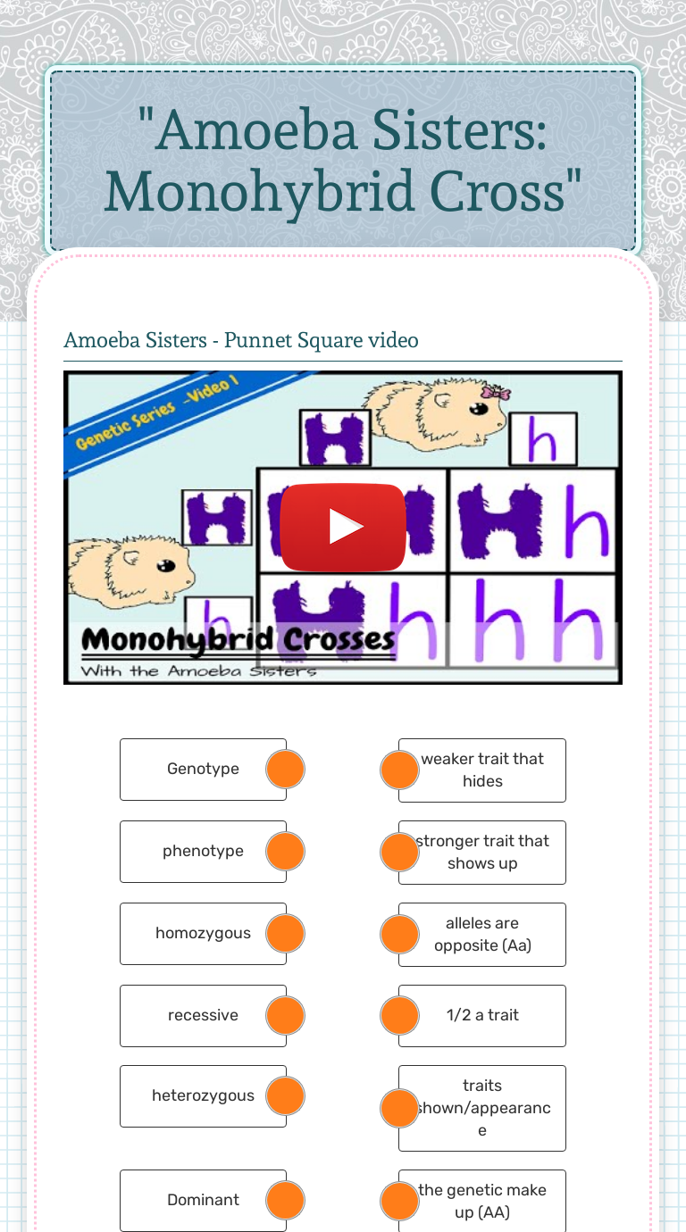 Amoeba Sisters Monohybrid Worksheet Answers - Bagaskara Cullen