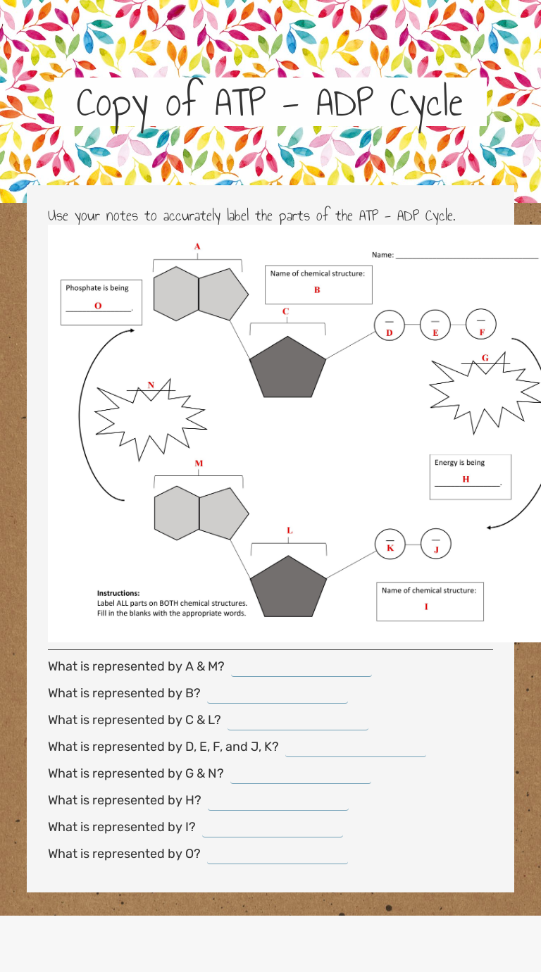 Copy Of Atp Adp Cycle Interactive Worksheet By Jennifer Dews Wizer Me