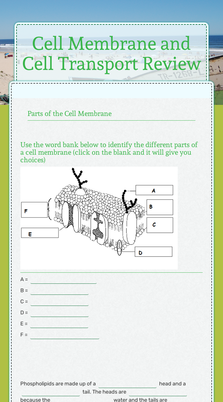 Cell Membrane and Cell Transport Review  Interactive Worksheet by Throughout Cell Transport Review Worksheet Answers